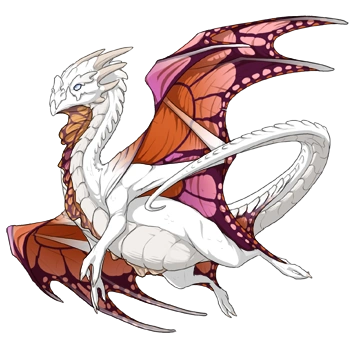 Orange Butterfly on a male Nocturne