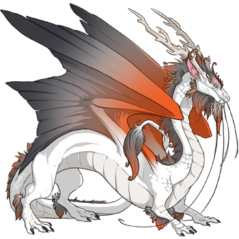 Silver Blend on a male Imperial