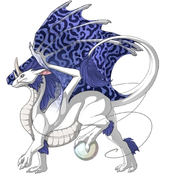 Storm Hypnotic on a male Pearlcatcher