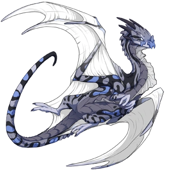 Smoke Swirl on a female Nocturne