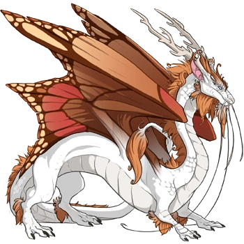 Caramel Butterfly on a male Imperial