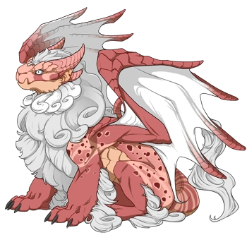 Coral Clown on a female Obelisk