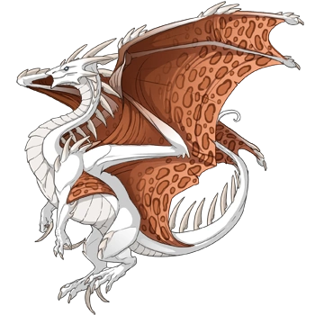 Caramel Clouded on a female Ridgeback