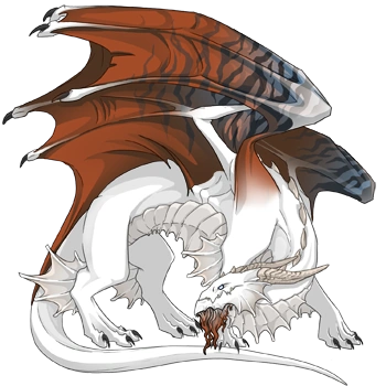 Copper Safari on a male Guardian