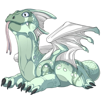 Pistachio Clown on a hatchling Bogsneak