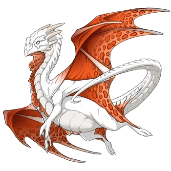 Fire Clouded on a male Nocturne