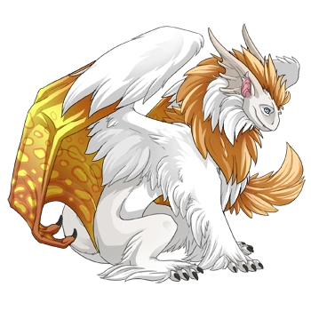 Grapefruit Clouded on a male Tundra