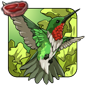 Ruby-Throated Hummingbird - Ruby Webwing