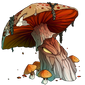 Ancient Fungus - Plague, Water, Shadow, Fire