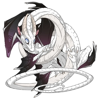 Black Blend on a male Spiral