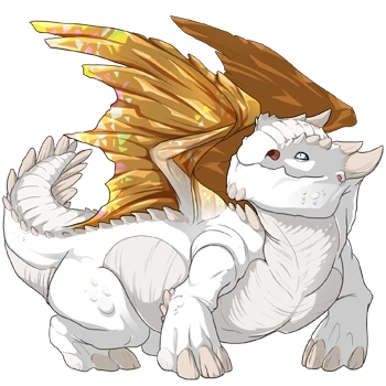 Buttercup Facet on a female Snapper