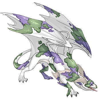 Algae Koi on a male Mirror