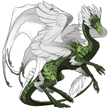 Forest Clown on a female Skydancer