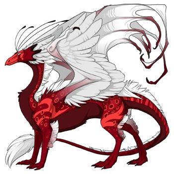 Crimson Clown on a male Skydancer