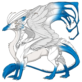 Caribbean Points on a male Skydancer