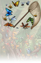 Springswarm