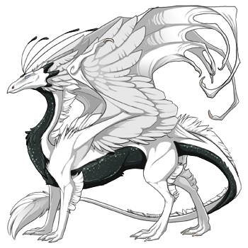 Glimmer on a male Skydancer