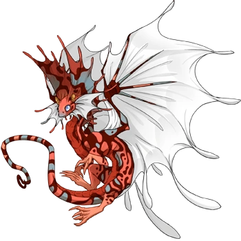 Tangerine Swirl on a male Fae