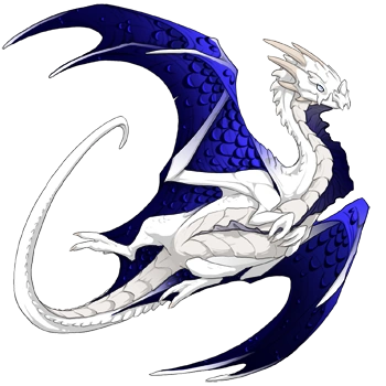 Sapphire Edged on a female Nocturne