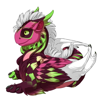 Watermelon Harlequin on a hatchling Tundra
