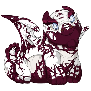 Wine Crackle on a hatchling Snapper