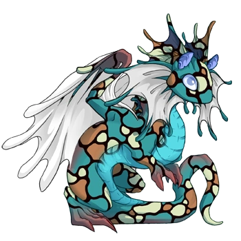 Turquoise Mosaic on a hatchling Fae