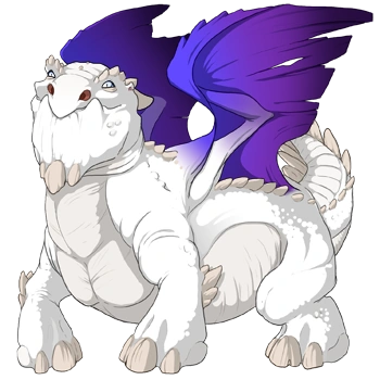 Nightshade Blend on a male Snapper