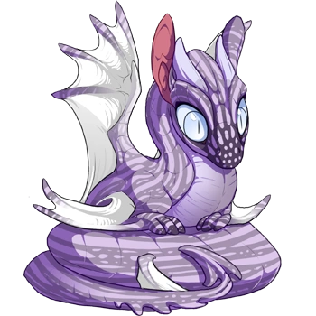 Fog Tapir on a hatchling Spiral