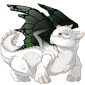 Eldritch Butterfly on a female Snapper