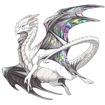 Dust Facet on a male Nocturne