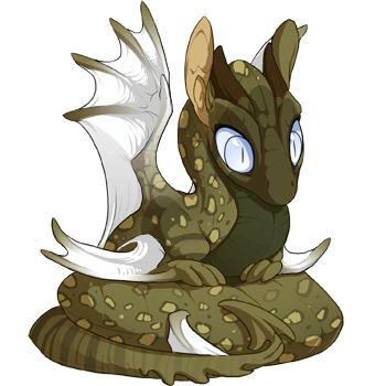 Moss Clown on a hatchling Spiral