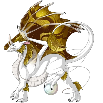 Honey Constellation on a male Pearlcatcher