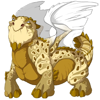 Goldenrod Clown on a male Snapper