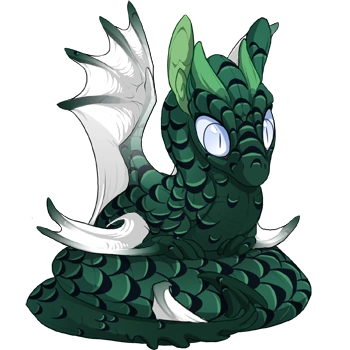 Peacock Laced on a hatchling Spiral