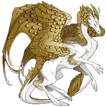 Goldenrod Edged on a female Skydancer