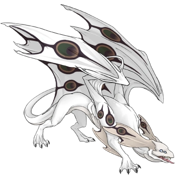 Latte Peacock on a male Mirror