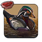 Wood Duck - Arcane, Fire, Nature, Plague