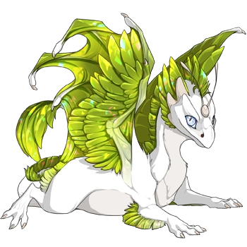 Spring Facet on a hatchling Skydancer