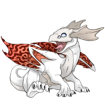 Tangerine Hypnotic on a hatchling Mirror