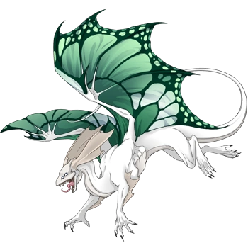 Jade Butterfly on a female Mirror