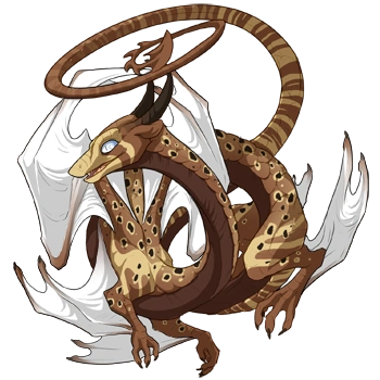 Brown Clown on a female Spiral