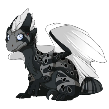 Obsidian Clown on a hatchling Wildclaw