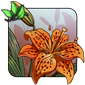 Speckled Fire Lily - Flamescale Lancer