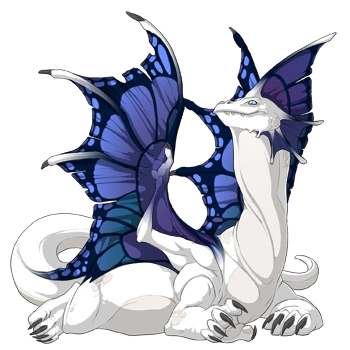 Iris Butterfly on a female Bogsneak