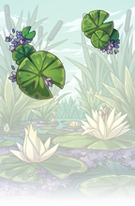 Lilypad Pool