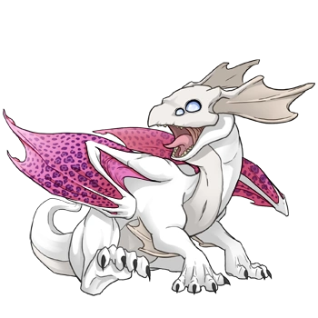 Pink Rosette on a hatchling Mirror