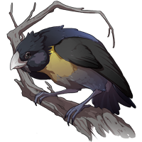 Gold-Throated_Sparrow.png
