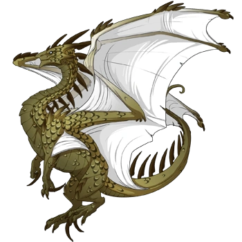 Moss Laced on a female Ridgeback