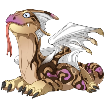 Tan Swirl on a hatchling Bogsneak