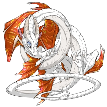 Sunset Facet on a male Spiral